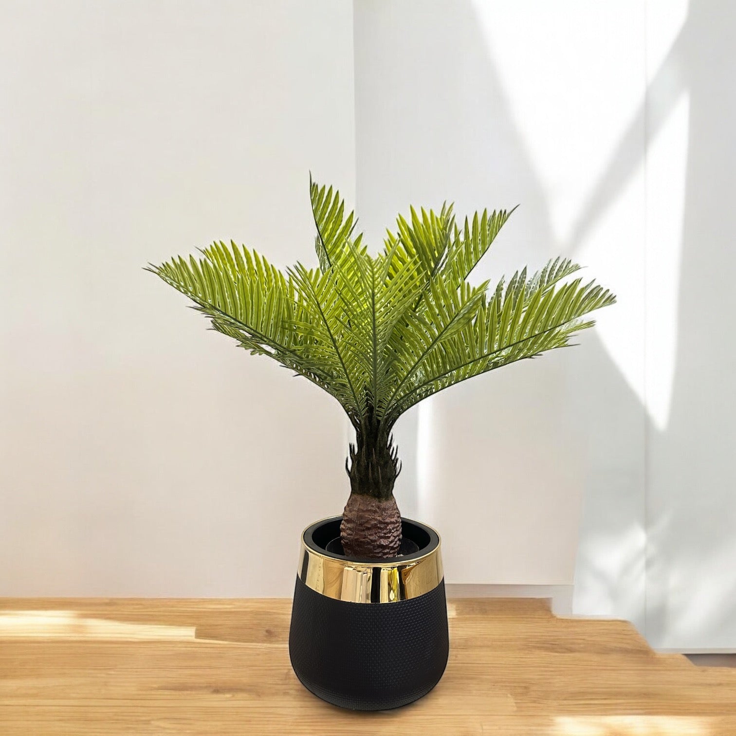 kangi palm plant KANGI PALM – DECOR DAZZLE