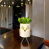 CERAMIC BLOOM PLANT