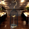 SPARROW IN CAGE