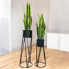 BLACK METAL PLANTERS