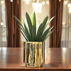 STELLAR PLANTER