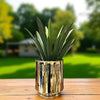 STELLAR PLANTER